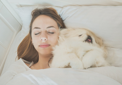 Sleeping With your Dog in the Bed