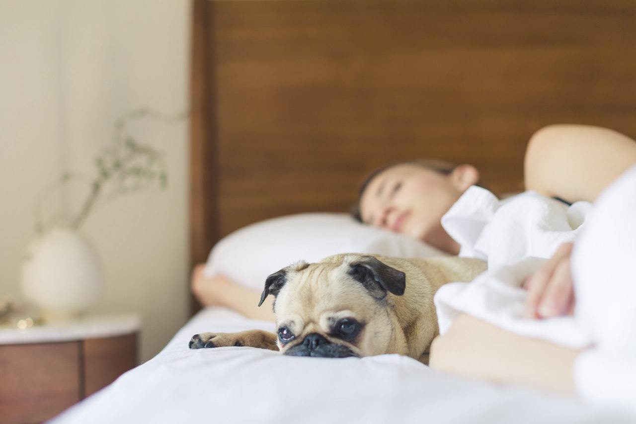 7 Surprising Ways Your Mattress Affects Your Sleep and Health
